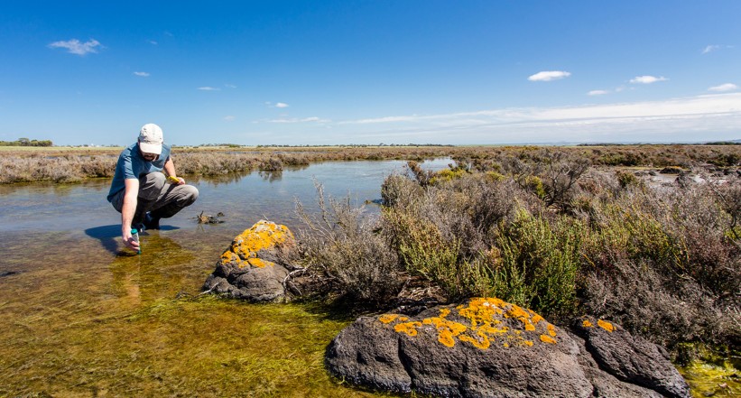 cover ForNature yeti v2